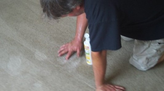 carpet cleaning Sanibel